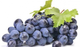 51cg8吃瓜爆料,揭秘娱乐圈最新吃瓜事件