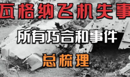 飞机吃瓜最新事件爆料,揭秘航班上的惊人一幕