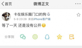 吃瓜大爆料在哪里看,一网打尽热门资讯